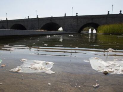 Suciedad en Madrid Río, en el Manzanares, cerca del puente de Segovia.