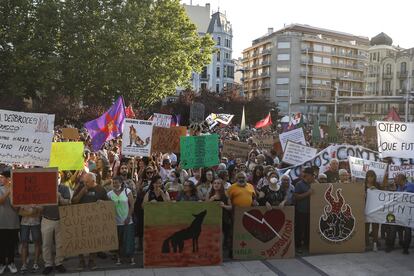 Manifestantes con pancartas protestan por los incendios forestales en Zamora, este jueves.