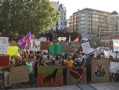 Manifestantes con pancartas protestan por los incendios forestales en Zamora, este jueves.