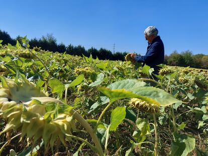 Un agricultor en una finca de Álava (País Vasco).