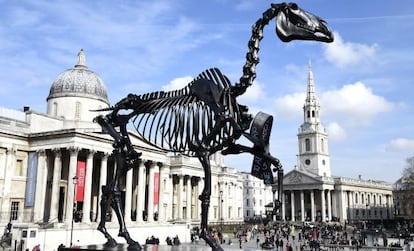 &#039;Caballo regalado&#039; del artista alem&aacute;n Hans Haacke. La osamenta en bronce del equino lleva adosada en la pata delantera una pinza digital. 