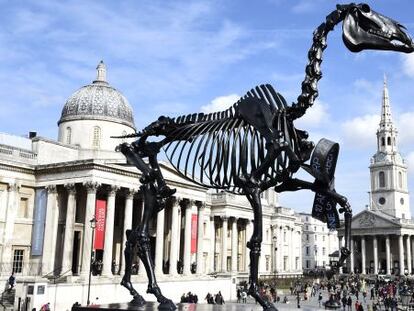 &#039;Caballo regalado&#039; del artista alem&aacute;n Hans Haacke. La osamenta en bronce del equino lleva adosada en la pata delantera una pinza digital. 