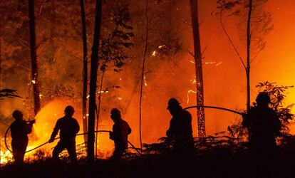 Bomberos trabajan cerca de Pedrógão Grande (Portugal).