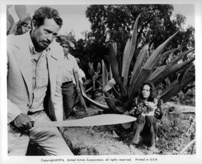 Vega ha acumulado más de 130 títulos en su filmografía que la coronan como una leyenda del erotismo mexicano en la gran pantalla.