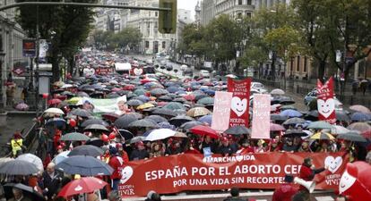 Manifestaci&oacute;n en Madrid delebrada el domingo 17 de noviembre contra el aborto. 