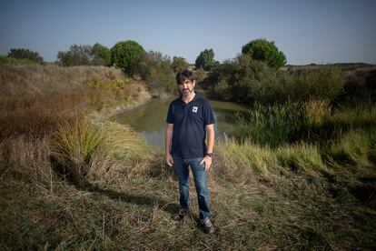 Felipe Fuentelsaz, coordinador de Agricultura de WWF, en una balsa ilegal cerrada por el Seprona.