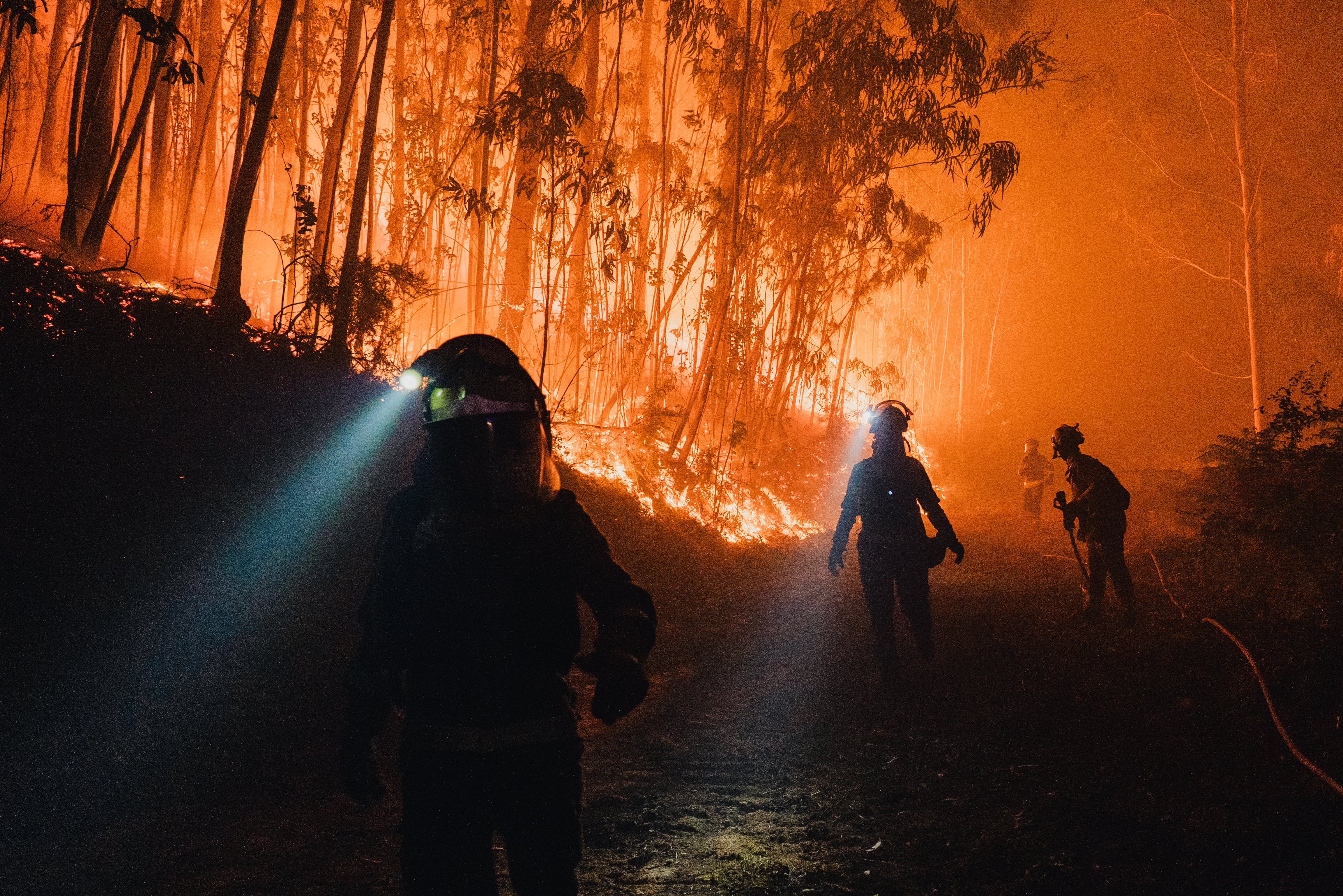 Última hora de los incendios en España, en directo | Estabilizado el incendio de Jarilla tras quemar 17.300 hectáreas en 10 días
