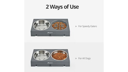 Comedero para perros sobre fondo blanco.