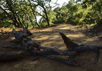 Estrada de terra bloqueada pela Marinha mexicana na entrada do rancho O Limão, no município de Tamazula (Durango).