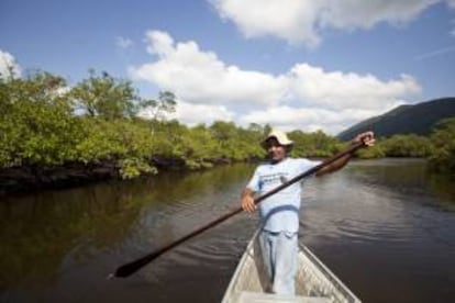 Fotografía del miembro de comunidad de descendientes de esclavos negros de Mandira, Chico Mandira, navegando para trabajar en el cultivo de ostras en el manglar ubicado entre la desembocadura del Río Ribeira de Iguapé y el Océano Atlántico, en la ciudad litoral de Cananéia en el estado de Sao Paulo (Brasil).