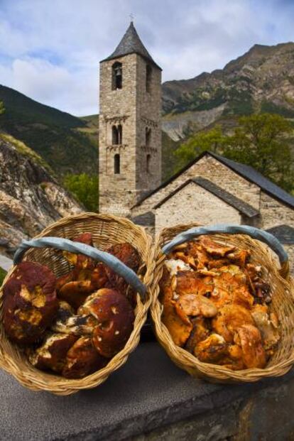 Setas en Sant Joan de Boí (Lleida).