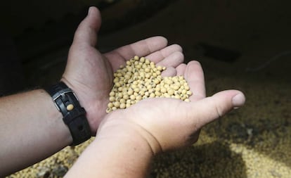 Un agricultor de soja sostiene semillas de la cosecha de la temporada en su granja ubicada al sur de Minnesota, en EE UU, el pasado julio.