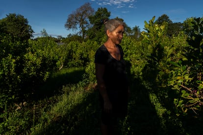 Lidia Correa comenzó a trabajar en la cosecha de la hoja de yerba mate cuando tenía nueve años. Hoy tiene 41. En Cuatro Bocas, su barrio del norte de la provincia de Misiones, viven 94 familias. Todas dependen de los seis meses al año en los que la cosecha da trabajo.