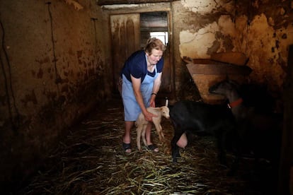 Amada Ruiz with one of her lambs and goats.