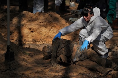 Natalya, una forense, examina el cuerpo de un hombre para comprobar, entre otras cosas, si ha sufrido torturas