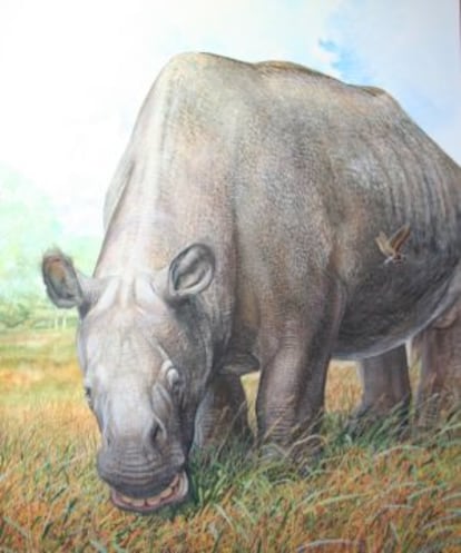 Reconstrucción del 'Toxodon'