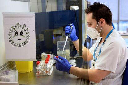 Un técnico de laboratorio del Hospital Pío del Río Hortega de Valladolid analiza pruebas PCR el 21 de enero.