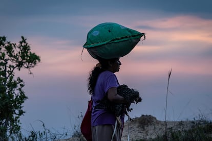 Desigualdad económica en el sur de México