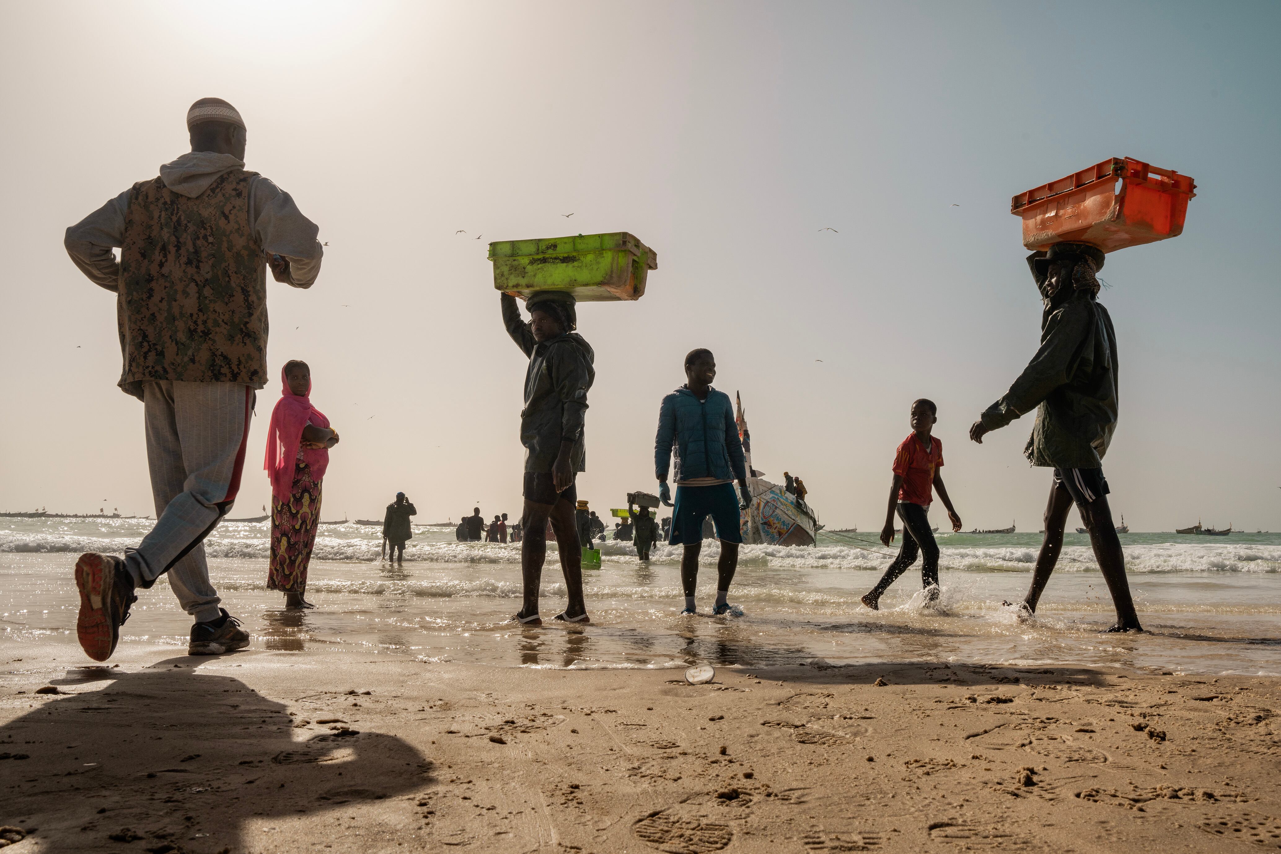 Un grupo de pescadores jóvenes camina hacia el mar para descargar el pescado que acaba de traer una embarcación tradicional de pesca en el puerto de Nuakchot, Mauritania. 