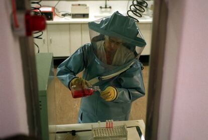La microbióloga Pat Leman analiza muestras de tejido infectado con Ébola en el Instituto Nacional de Virología de Johannesburgo (Suráfrica).