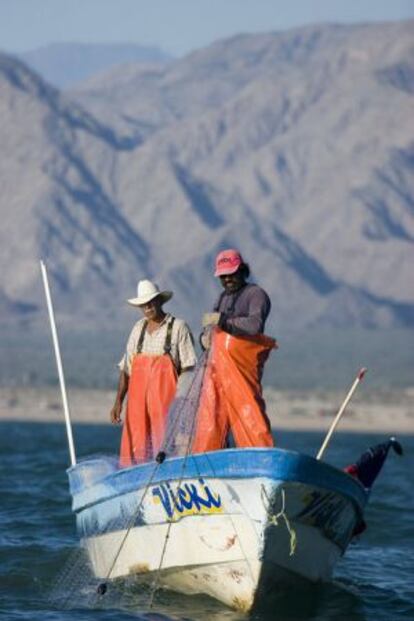 Unos pescadores con redes de enmalle en el Golfo de California.