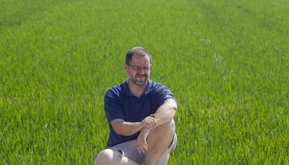 Miguel Minguet en uno de sus campos donde cultiva su variedad de arroz.