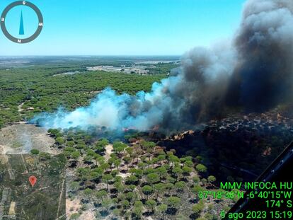 Incendio declarado en Bonares (Huelva) este sábado.