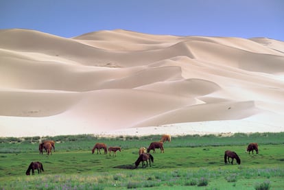 Una maravilla natural, el desierto de Gobi en Mongolia.