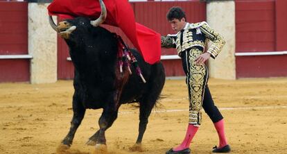 Daniel Luque, en su primer toro en plaza de la La Malagueta.