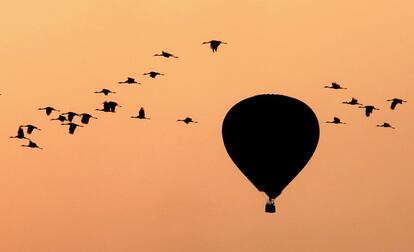 Un globo aerostático sobrevuela la ciudad de Oconomowoc, en el Estado de Wisconsin (EE UU).