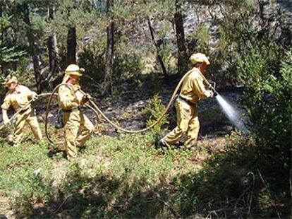 Los bomberos tratan de acabar con los posibles focos de propagación del incendio para extinguirlo por completo.