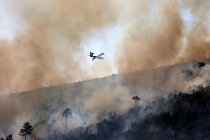 Un avión de extinción de incendios lanza agua sobre el fuego forestal en Grammatiko, este lunes. 