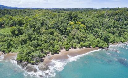 Vista aérea del parque de Corcovado, un parque nacional que concentra el 2,5% de la biodiversidad mundial.