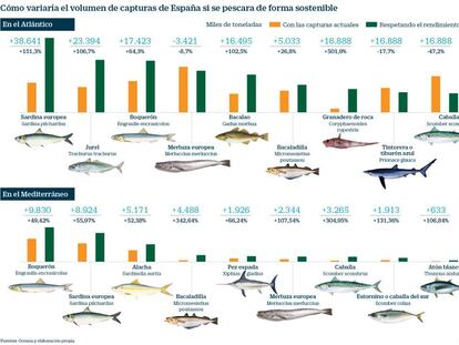 La pesca sostenible, un negocio redondo