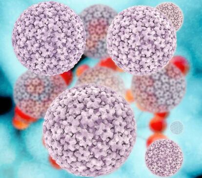 Virus del papiloma humano.