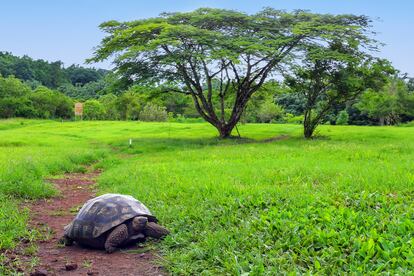 Naturaleza