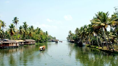 Un paseo en 'houseboats' por Kerala.