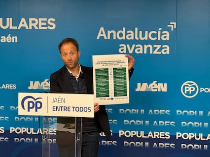 El presidente del PP de Jaén, Erik Domínguez.