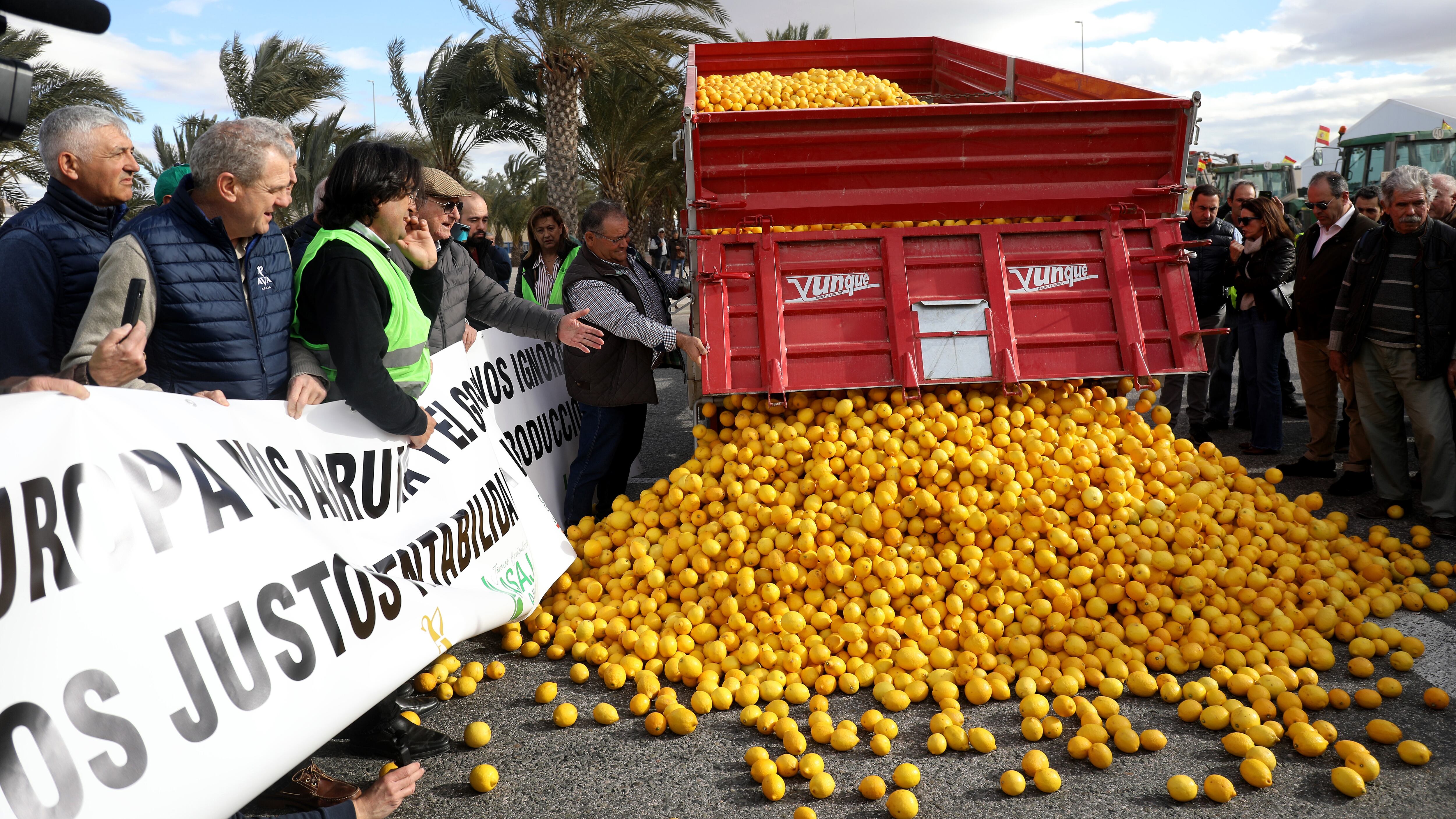 Agricultores vuelcan un camión de limones este viernes durante una protesta en el polígono de San Isidro, en Alicante.