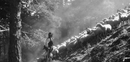 Pastor de los valles pirenaicos. 1945.