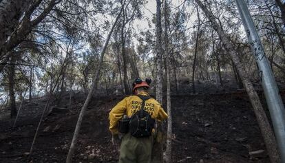 Un bombero de las brigadas de la Diputaci&oacute;n en el incendio, este jueves.