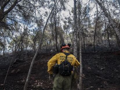 Un bombero de las brigadas de la Diputación en el incendio, este jueves.