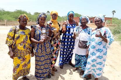 Las nuevas técnicas de conservación y envasado que las distintas cooperativas de mariscadoras están introduciendo tanto en Senegal como en Gambia, permiten que las ostras y demás moluscos que recolectan se conserven mejor y durante más tiempo. Así pueden acceder a nuevos mercados y obtener más beneficios.