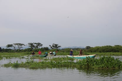 Los pescadores en la ciénaga.
