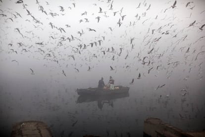 Un par de indios alimentan a las aves desde una barca en el río Yamuna, en medio de la niebla en Nueva Delhi