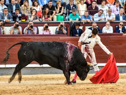 Ángel Téllez torea al natural al toro Viajero, uno de los preferidos por el ganadero.