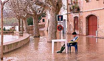 Un niño contempla la inundación provocada por el Ebro en la parte baja de Miravet.