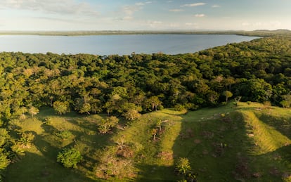 Límite entre el habitat del mono y las zonas degradadas en Marimonda, Colombia.
