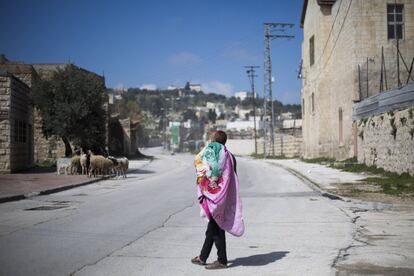 Un pastor palestino se cubre del frío con una manta mientras saca a pastar su rebajo de ovejas en la ciudad de Hebrón, controlada por Israel.