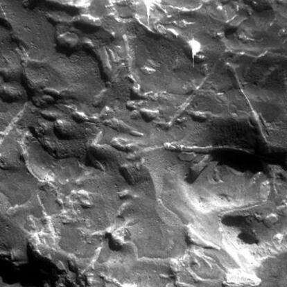 Vista al microscopio del meteorito Block Island, con los triángulos característicos. La zona visible en la imagen mide 32 x 32 milímetros.